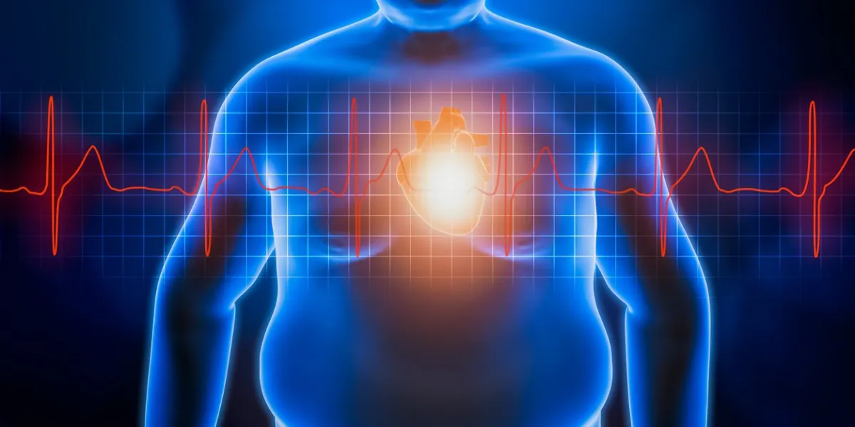 fat or obese man chest body with heart and red ekg heartbeat curve blue futuristic hologram 3d rendering illustration obesity, healthcare, medical, wellness, heart disease concepts