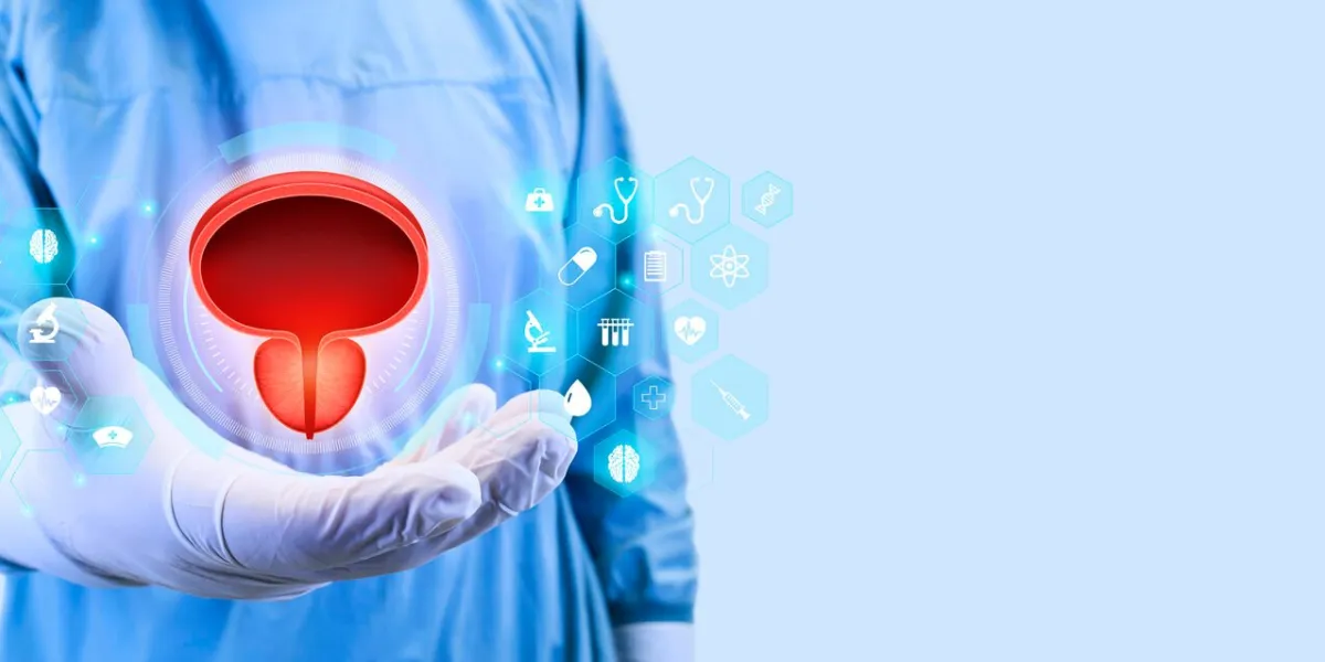 the doctor analyzes the prostate, prostate medical checkup concept urologist isolated on light blue background prostate in good health