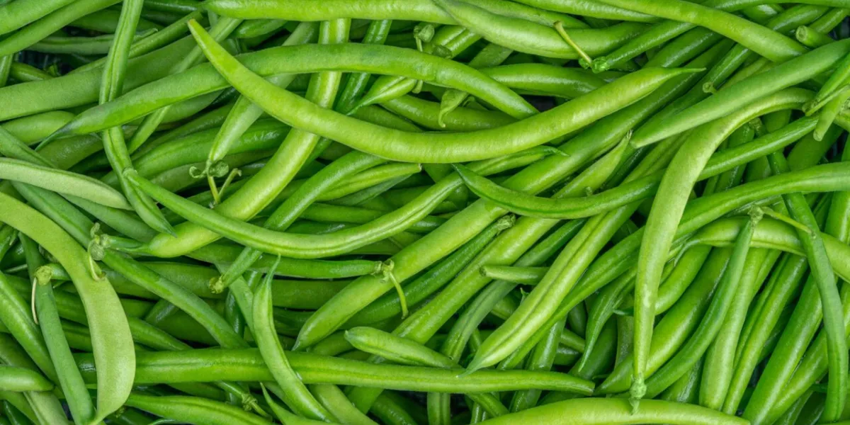 fresh green bean pods texture close up, top view high quality photo
