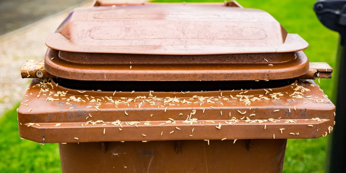 a lot of maggots on a brown trash can