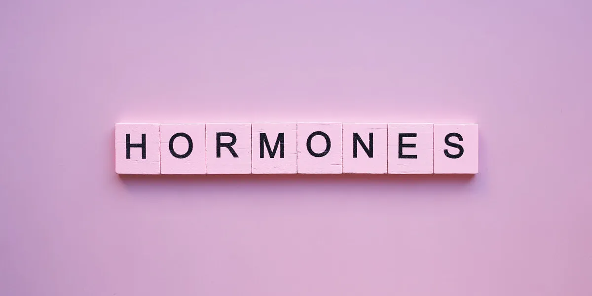 hormones word wooden cubes on a pink background