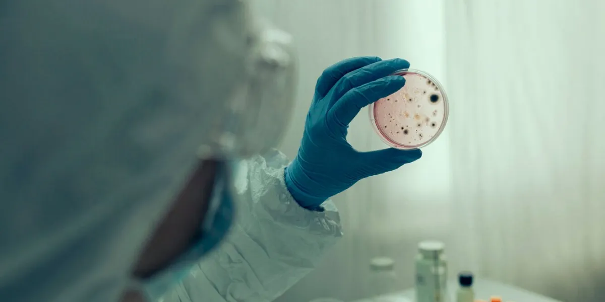 unrecognizable scientist examining virus in petri dish in a laboratory