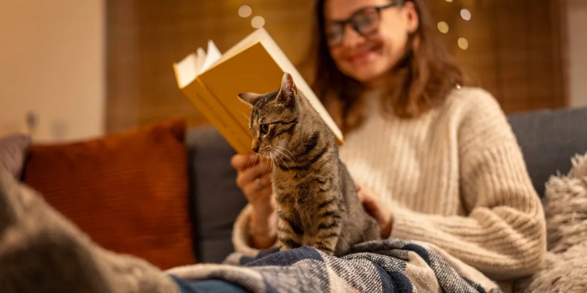 a young woman spends a cozy winter evening at home sitting on the sofa with a gray cat in her arms reading a book