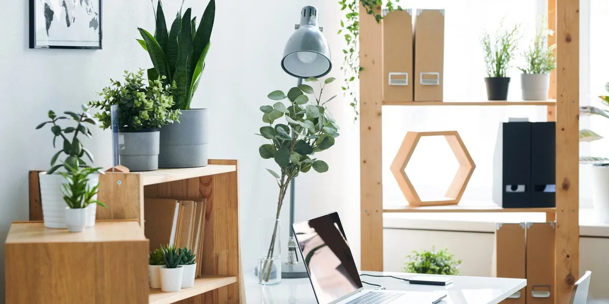 workplace of businessperson with laptop, lamp and notebooks on desk, green domestic plants on wooden shelves and map in picture frame on wall