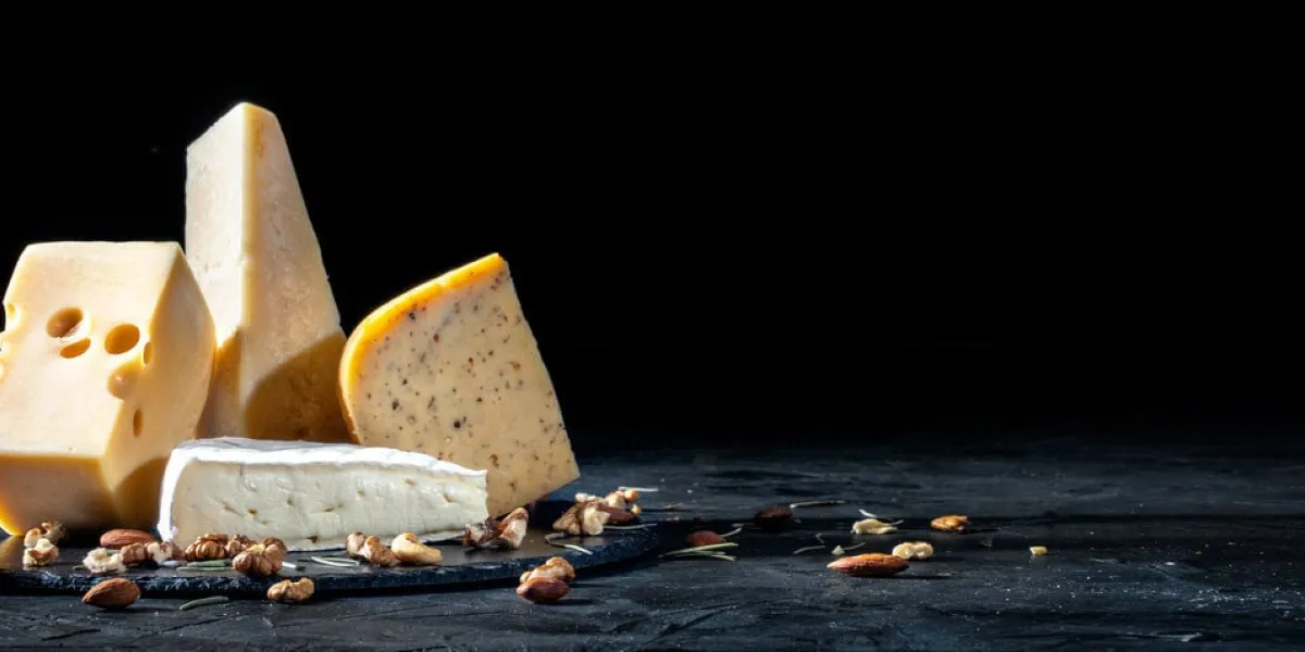 different kinds of cheese with nuts on dark background, copy space
