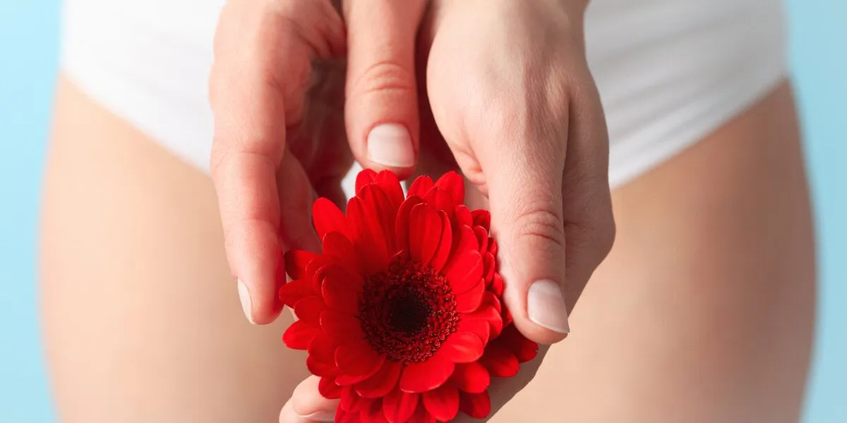 woman in panties holding gerbera, close up