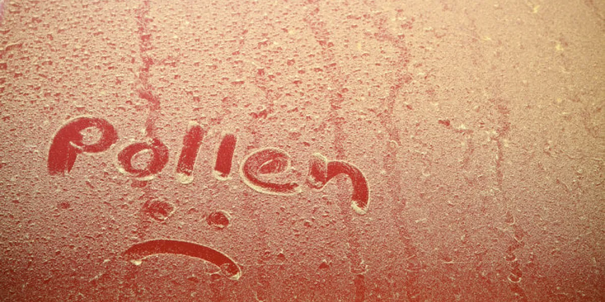pollen text on car hood