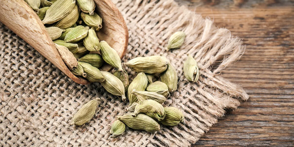 scented seasoning cardamom beans in wooden scoop