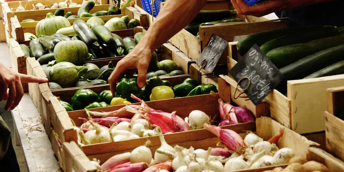 manger sain, des légumes bio dans les marchés français