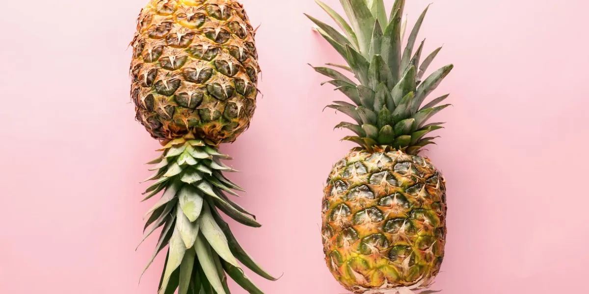 delicious pineapples on color background
