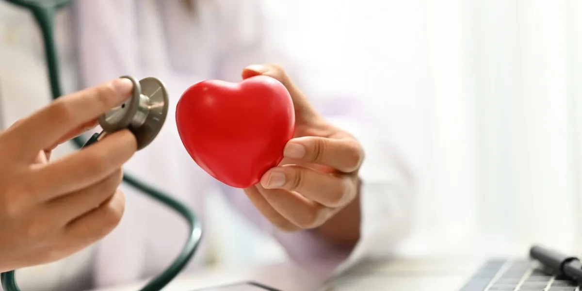 close up doctor holding stethoscope and red heart cardiac medical checkup, health care and medical concept