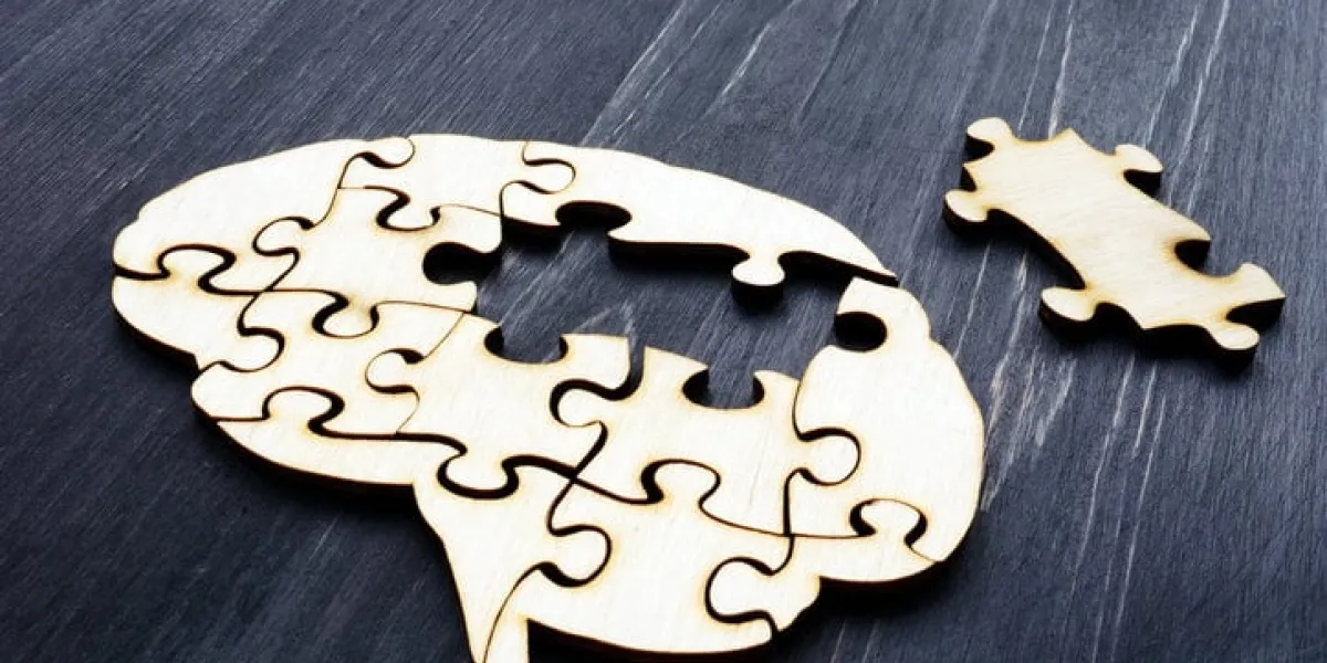 brain from wooden puzzles mental health and problems with memory