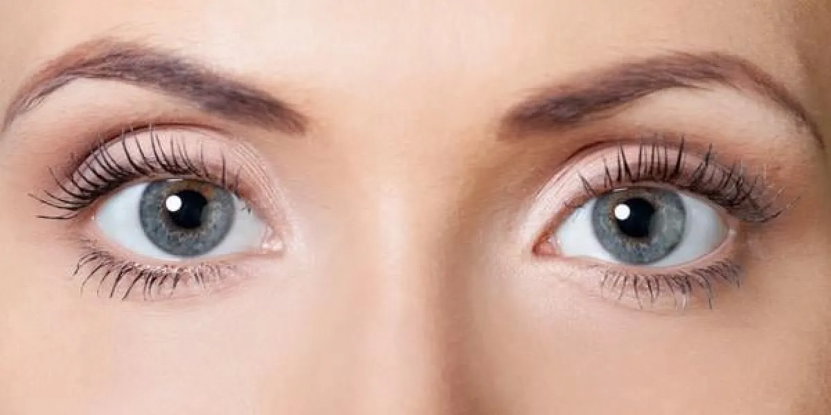 yeux, ouverts, paupières