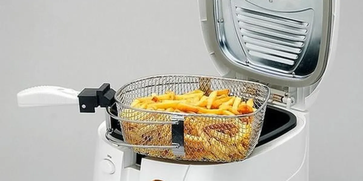 friteuse electrique