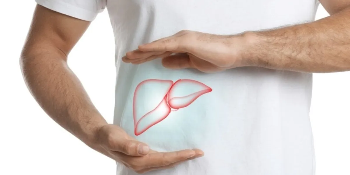 man and illustration of liver on white background, closeup