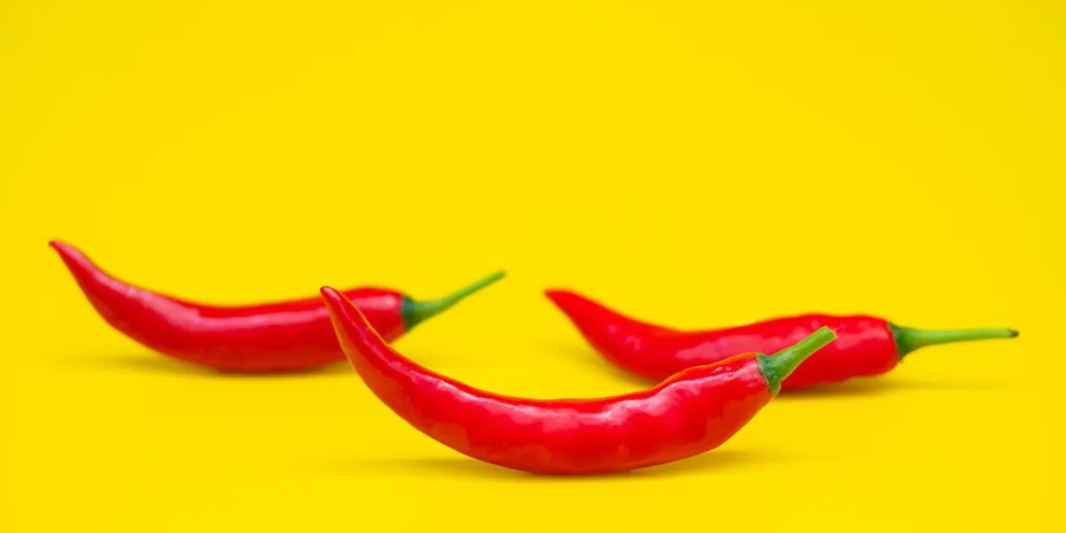 close up red hot chili spur pepper at yellow background