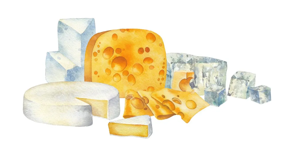 watercolor design witn different types of cheese hand painted illustration isolated on white background