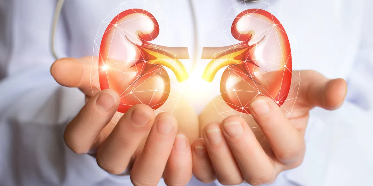 doctor supports kidneys healthy concept design