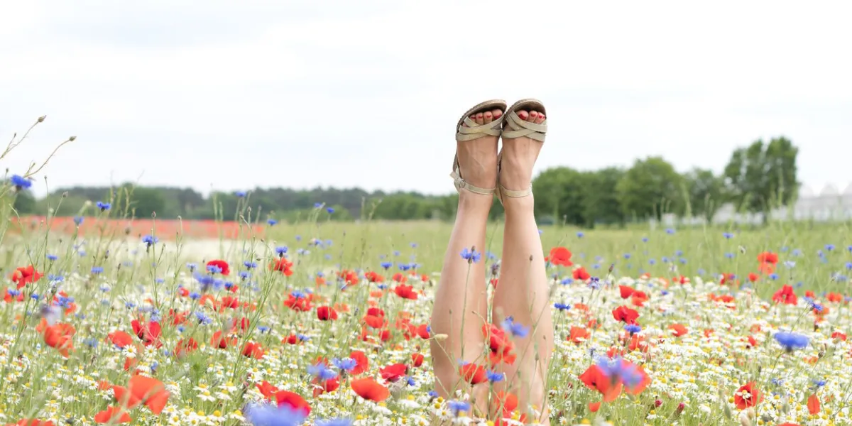 female legs stick out from the field of multicolored flowers, explosion of colorhigh quality photo