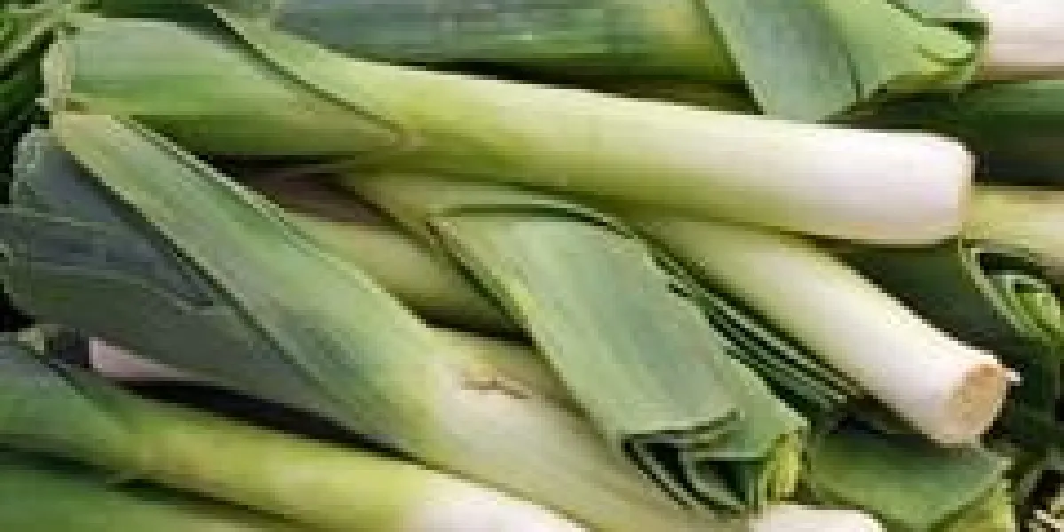 fond de légumes de poireaux