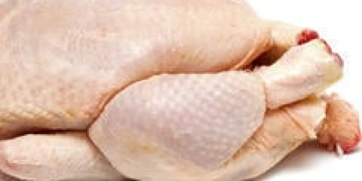 poulet cru isolé sur fond blanc