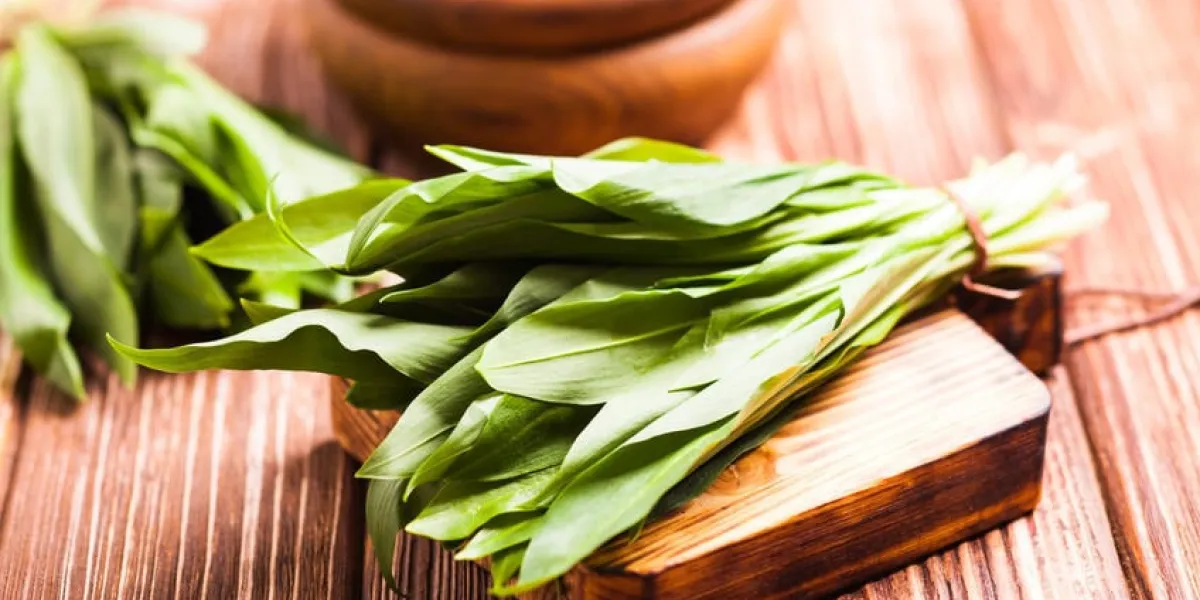 un bouquet d'ail sauvage sur une planche de bois
