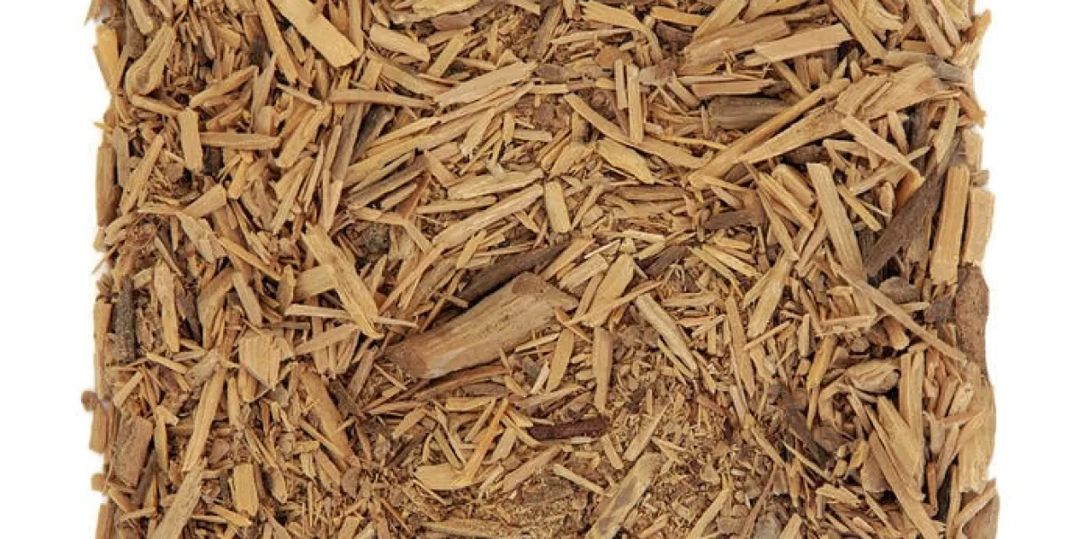 herbe muira puama utilisée en phytothérapie alternative sur fond blanc utilisée aussi comme aphrodisiaque ptychopetalum olacoides