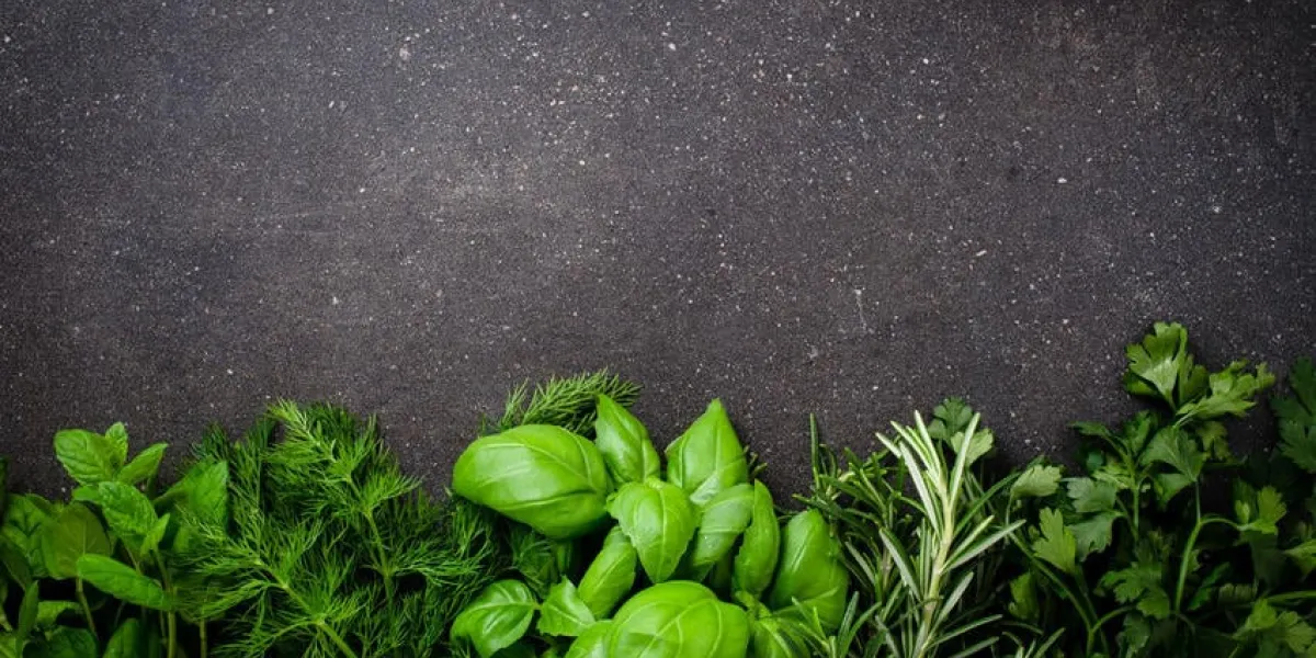 herbes fraîches sur fond sombre