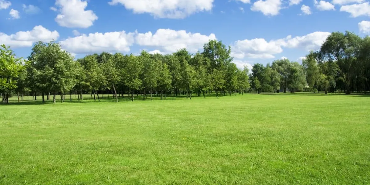 fond pour le projet de visualisation