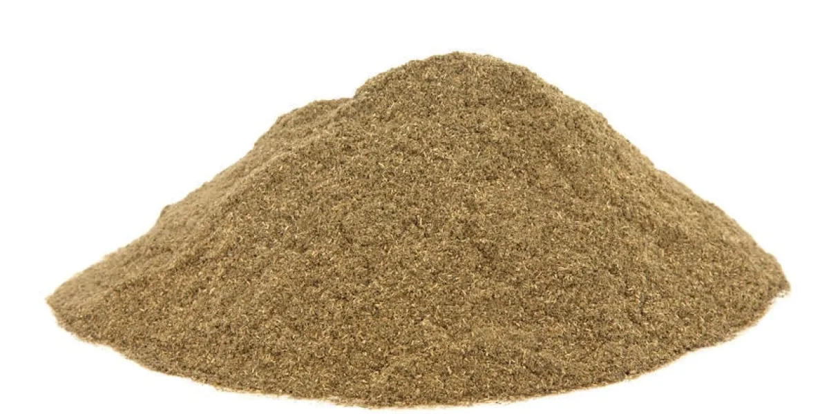 gymnema sylvestre herbe utilisée en médecine alternative naturelle sur fond blanc utilisé pour la gestion du poids et connu comme le destructeur de sucre