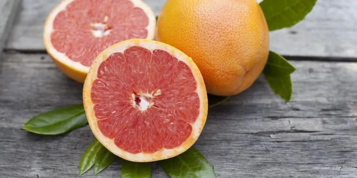 pamplemousse bio jus regime