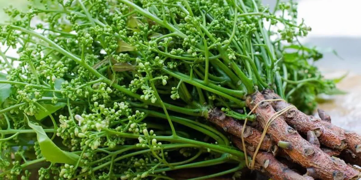 neem biologique de la ferme naturelle