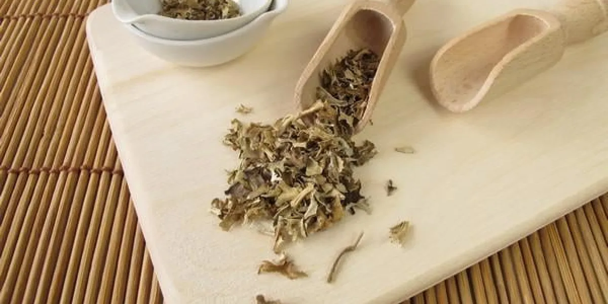 islaendisch moos, lichen islandicus