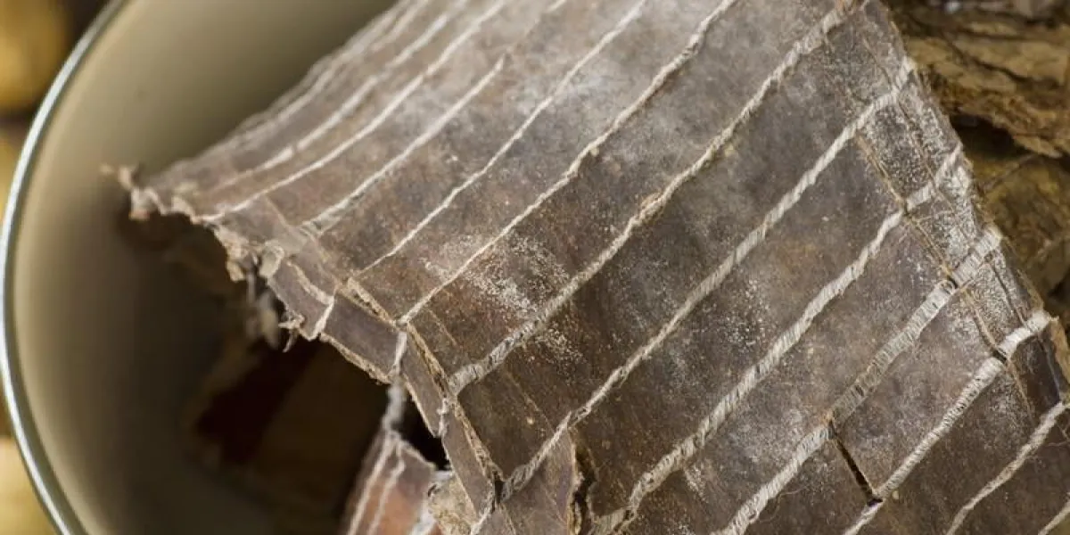 eucommia ulmoides ou eucommia écorce, fichier non aiguisé