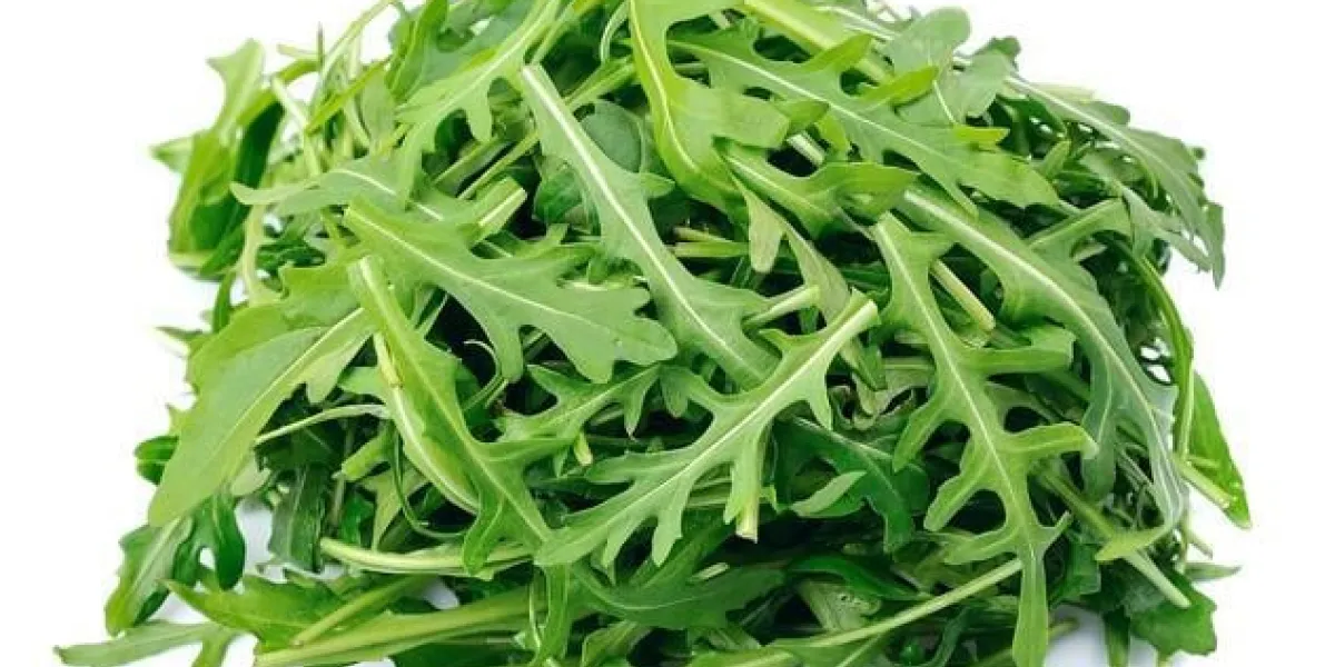 roquette, salade, isolé, blanc, fin