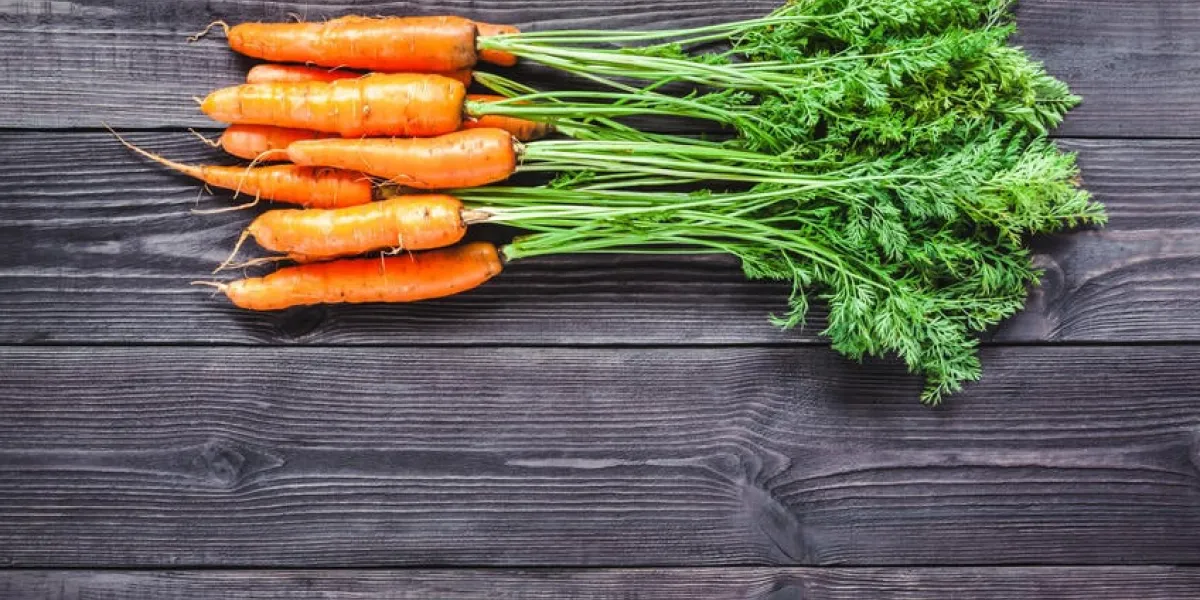 carottes fraîches mûres sur un fond en bois de couleur noire