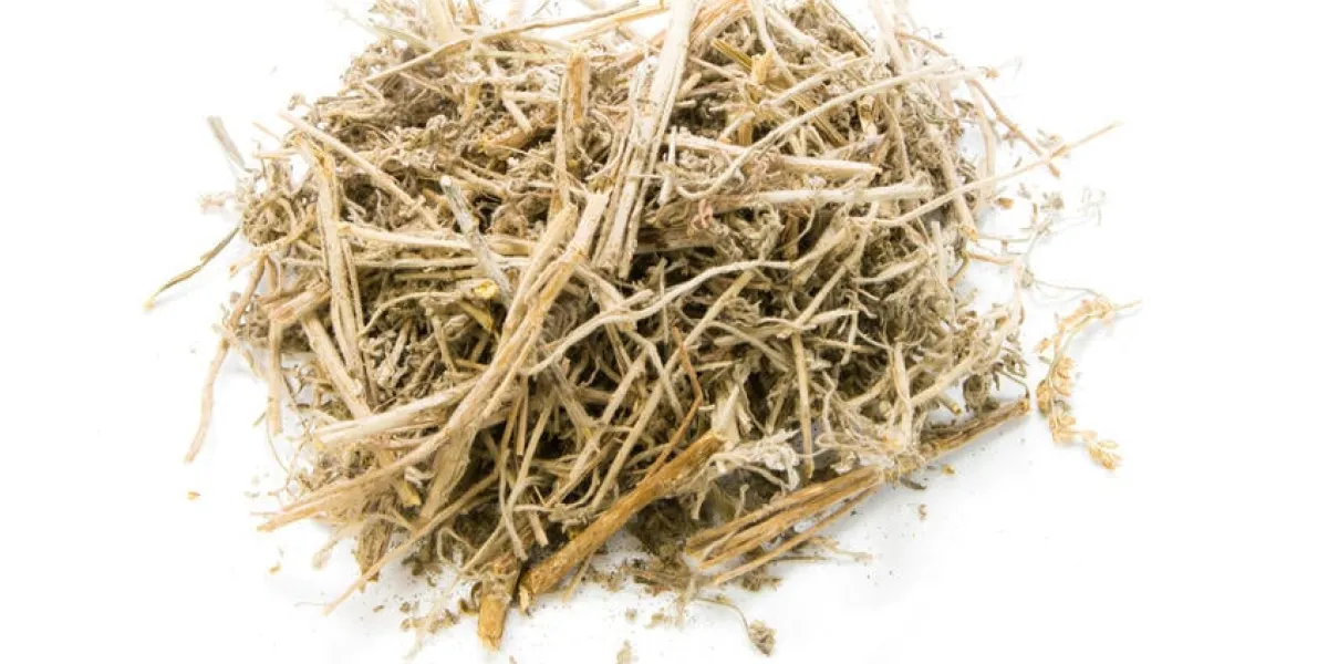 herbes séchées, artemisia annua l sur fond blanc