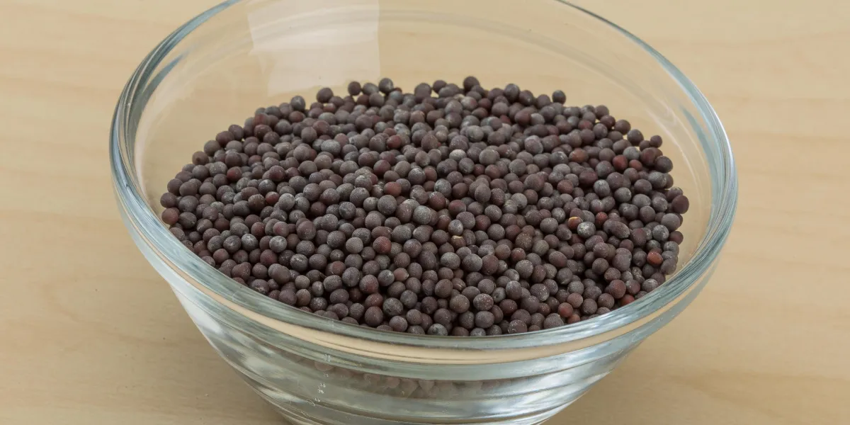 graines de moutarde noire dans le bol en verre