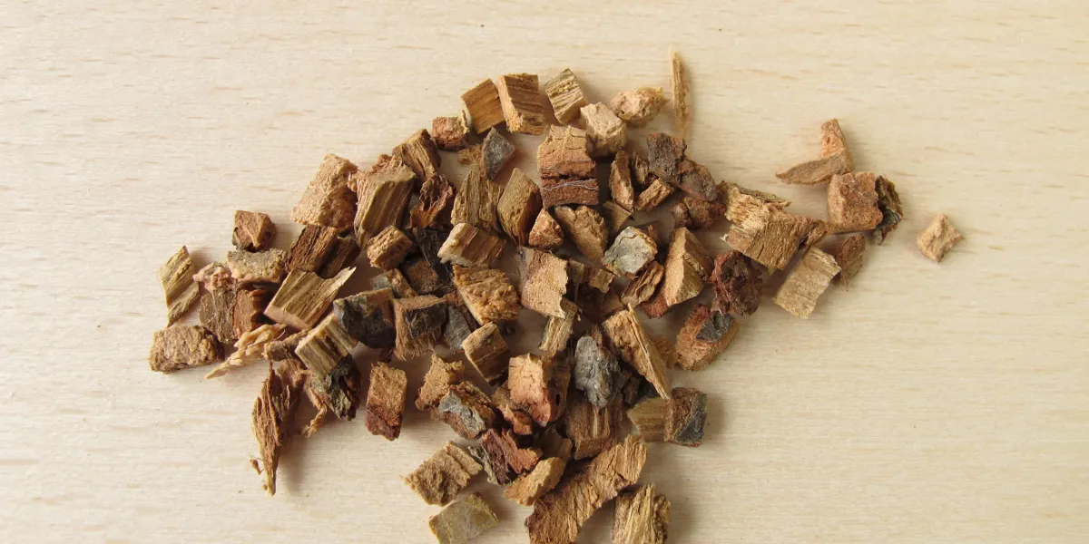 eichenrinde, quercus cortex