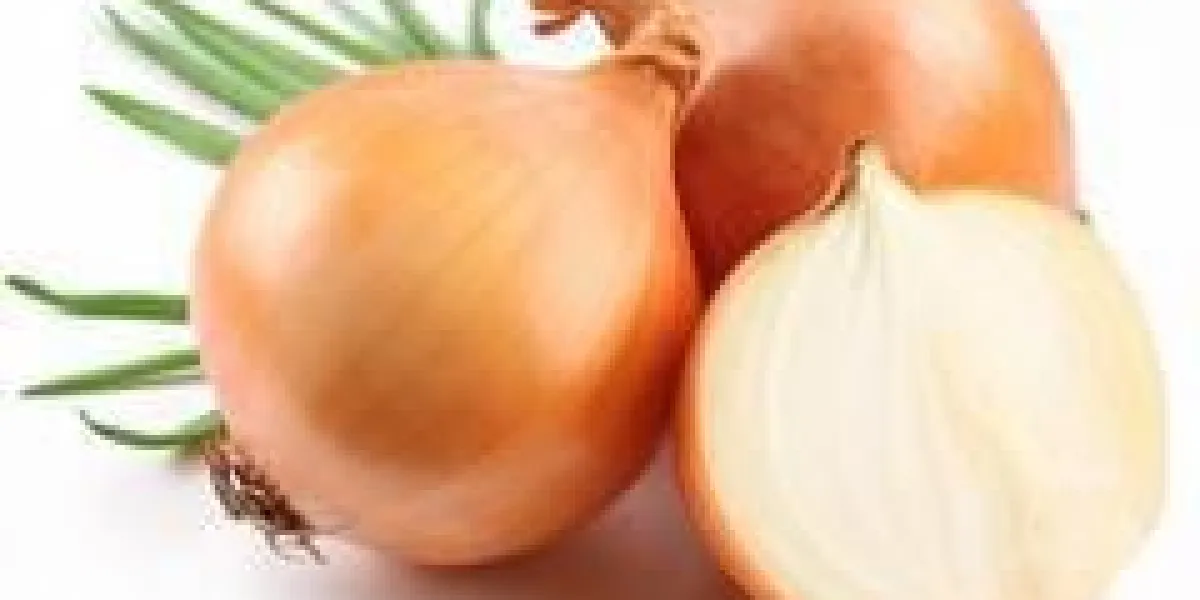 bulbes frais d'oignon sur fond blanc