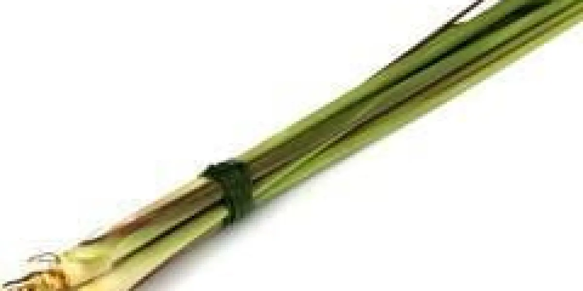 racines de citronnelle