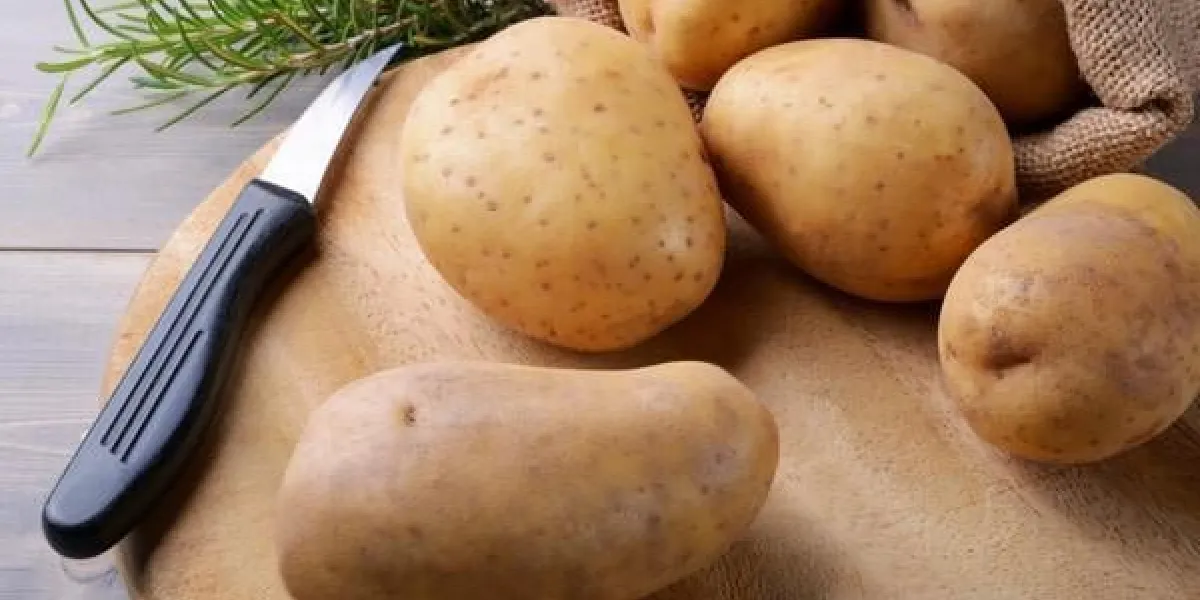 nouvelles pommes de terre