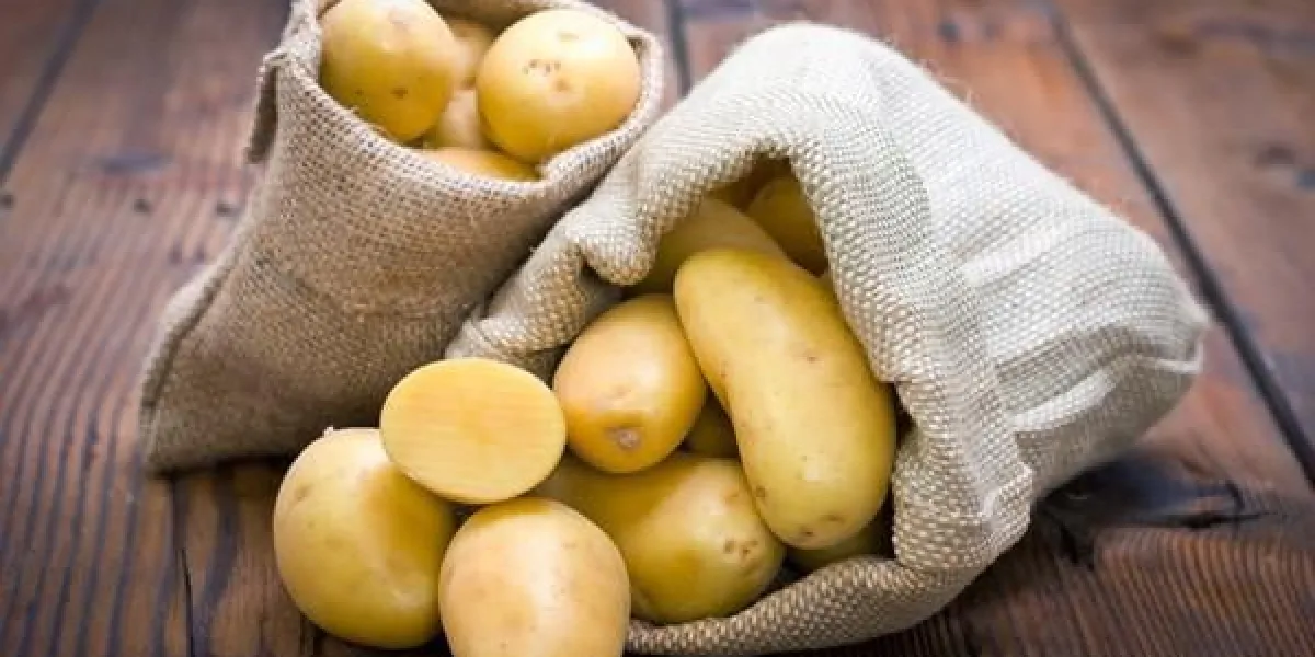pommes de terre biologiques dans le sac de jute